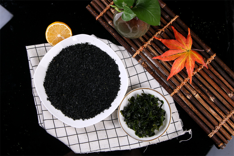 裙帶菜S